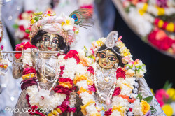Daily Darshan