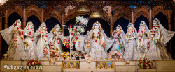 Daily Darshan