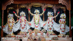 Daily Darshan