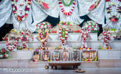 Daily Darshan