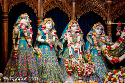 Daily Darshan