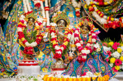 Daily Darshan