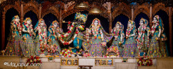 Daily Darshan