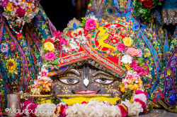 Daily Darshan