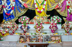 Daily Darshan