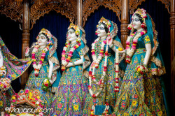 Daily Darshan