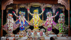 Daily Darshan