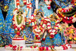 Daily Darshan