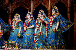 Daily Darshan