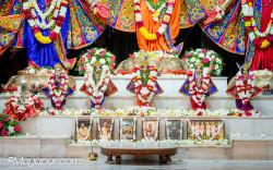 Daily Darshan