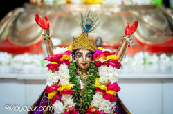Daily Darshan