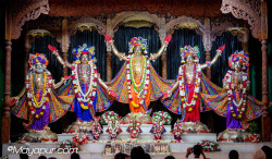 Daily Darshan