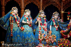 Daily Darshan