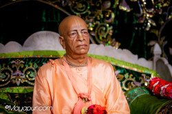 Daily Darshan