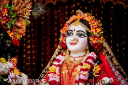 Daily Darshan