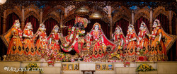 Daily Darshan