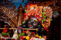 Daily Darshan