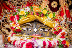 Daily Darshan