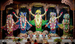 Daily Darshan