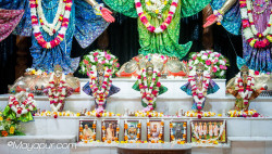 Daily Darshan
