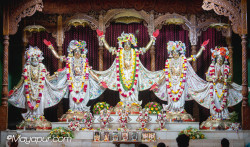 Daily Darshan