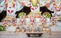 Daily Darshan
