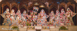Daily Darshan