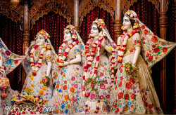Daily Darshan