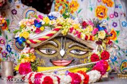 Daily Darshan