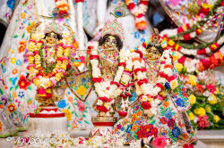 Daily Darshan