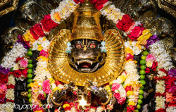 Daily Darshan