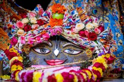 Daily Darshan
