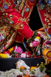 Daily Darshan