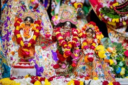 Daily Darshan