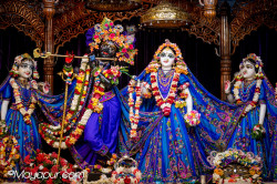 Daily Darshan