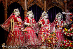 Daily Darshan