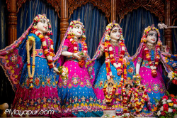 Daily Darshan