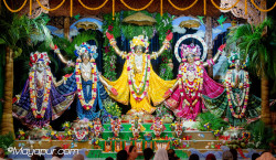 Daily Darshan