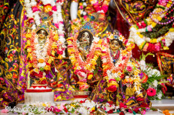 Daily Darshan