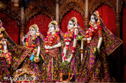 Daily Darshan