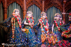Daily Darshan
