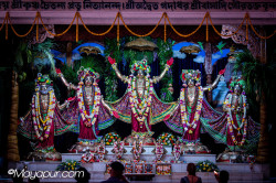 Daily Darshan