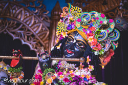 Daily Darshan