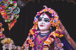 Daily Darshan