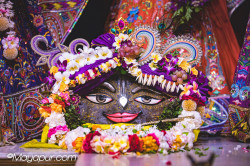 Daily Darshan