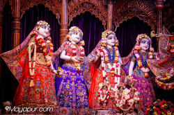 Daily Darshan