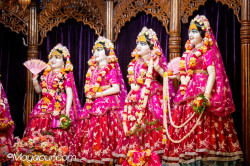 Daily Darshan