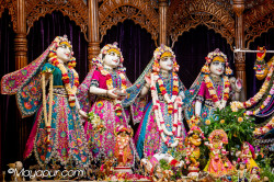 Daily Darshan