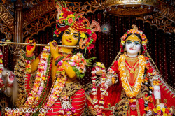 Daily Darshan