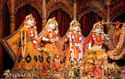 Daily Darshan